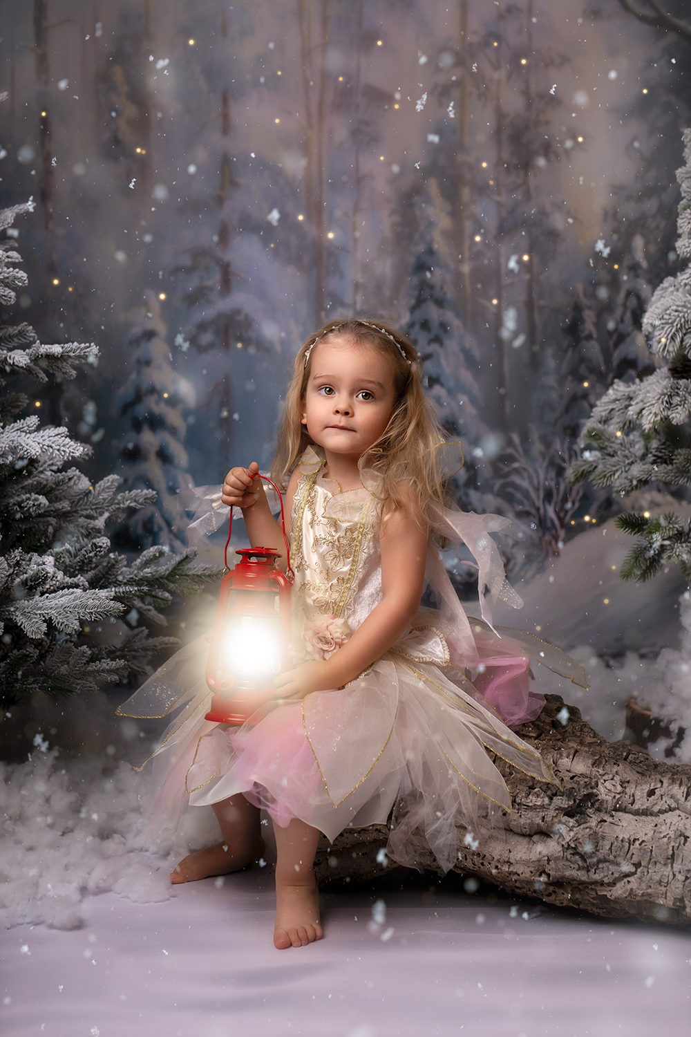 _X3B3716-web _X3B3716-web